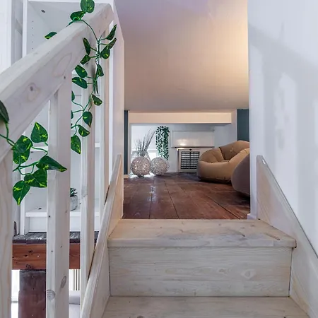 House Ladder Apartament *